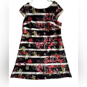 Adrianna Papell Black Floral Striped Exposed Zipper Dress Size 14W